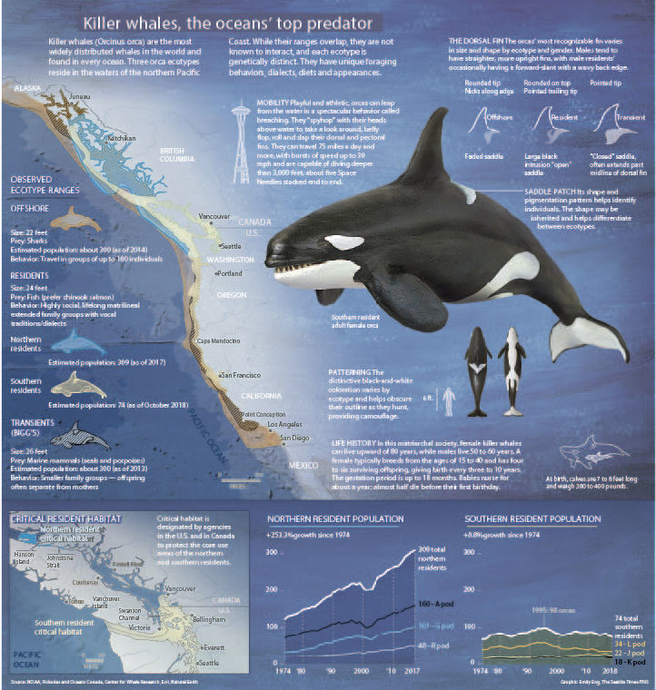 20181115_ORCAS